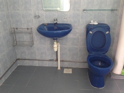 Blk 226 Choa Chu Kang Central (Choa Chu Kang), HDB 4 Rooms #181606812